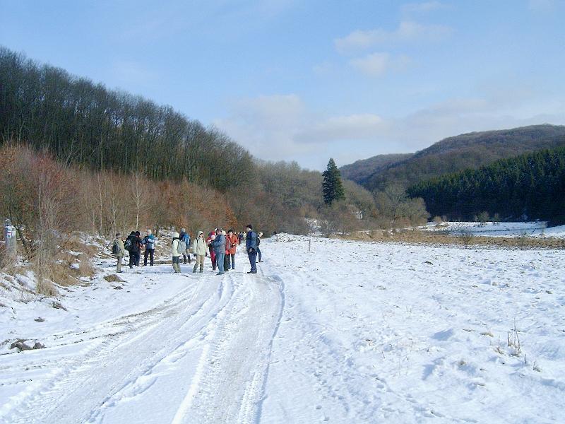 20110122 077.jpg